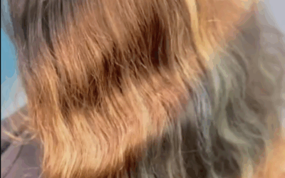 🥰Ritrovare l’armonia del colore🥰