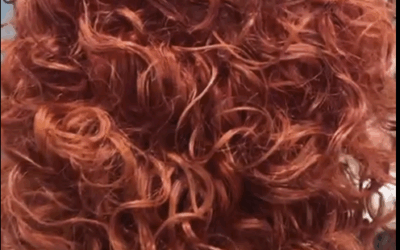 ✨Armonia che si rinnova✨