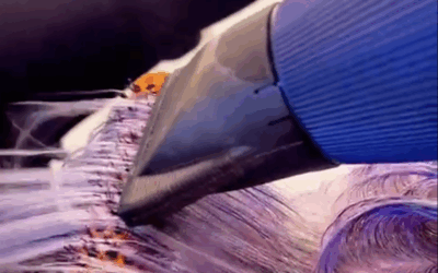 🌿Armonia ritrovata🌿