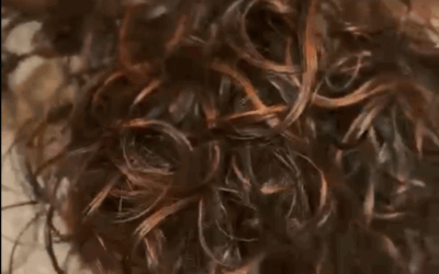 ✨Fili d’argento ✨