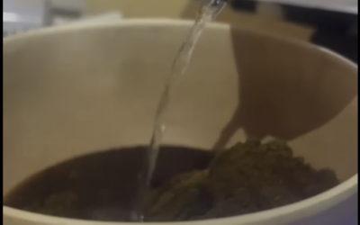 🌿 Quando il colore nasce dall’ascolto 🌿