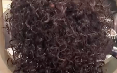 L’armonia del riccio naturale