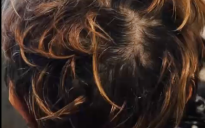 Nuova luce per il taglio corto