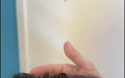 Trattamento Olistico